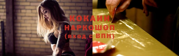 бошки Новозыбков