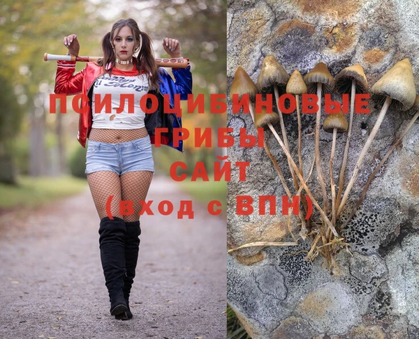 каннабис Арсеньев