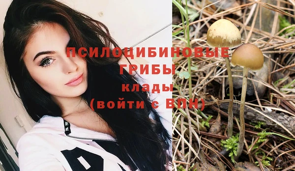 каннабис Арсеньев