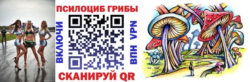 Галлюциногенные грибы Psilocybine cubensis  как найти   Крымск 